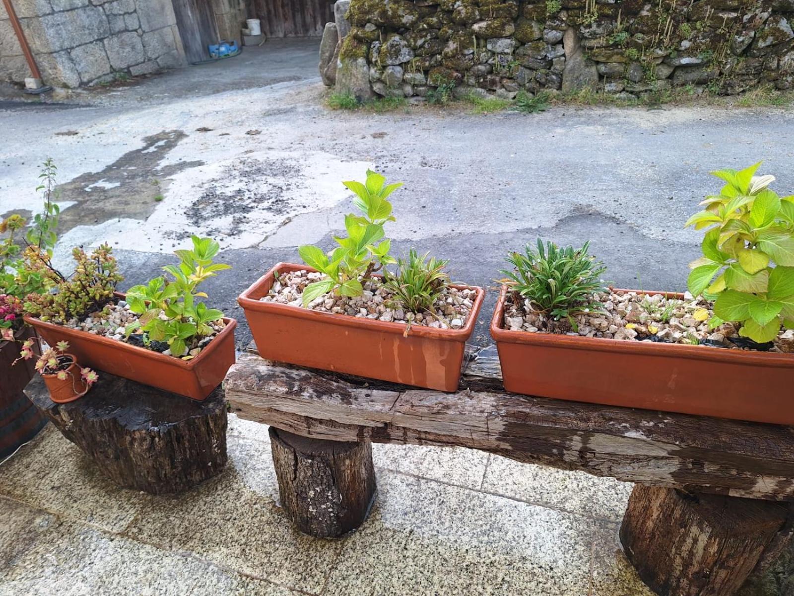 Pension O Corazon Da Ribeira Sacra La Teijeira Luaran gambar