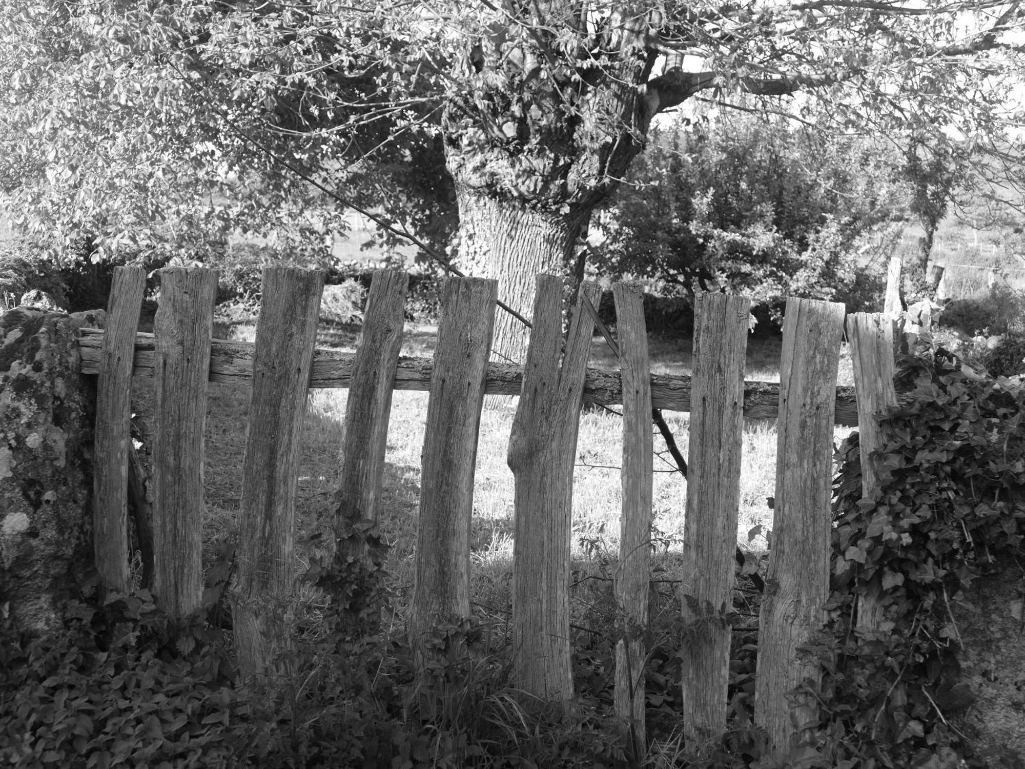 Pension O Corazon Da Ribeira Sacra La Teijeira Luaran gambar