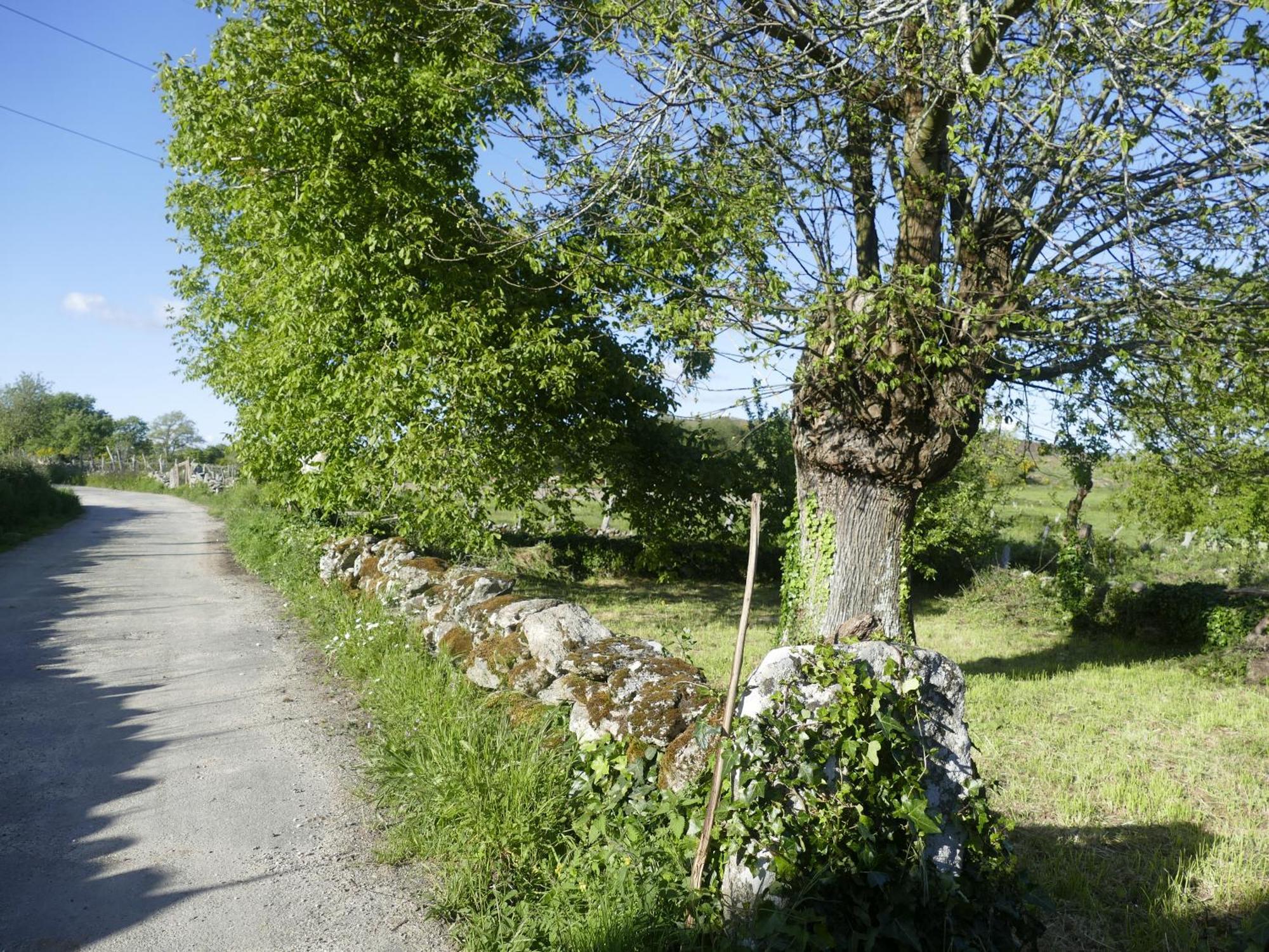 Pension O Corazon Da Ribeira Sacra La Teijeira Luaran gambar